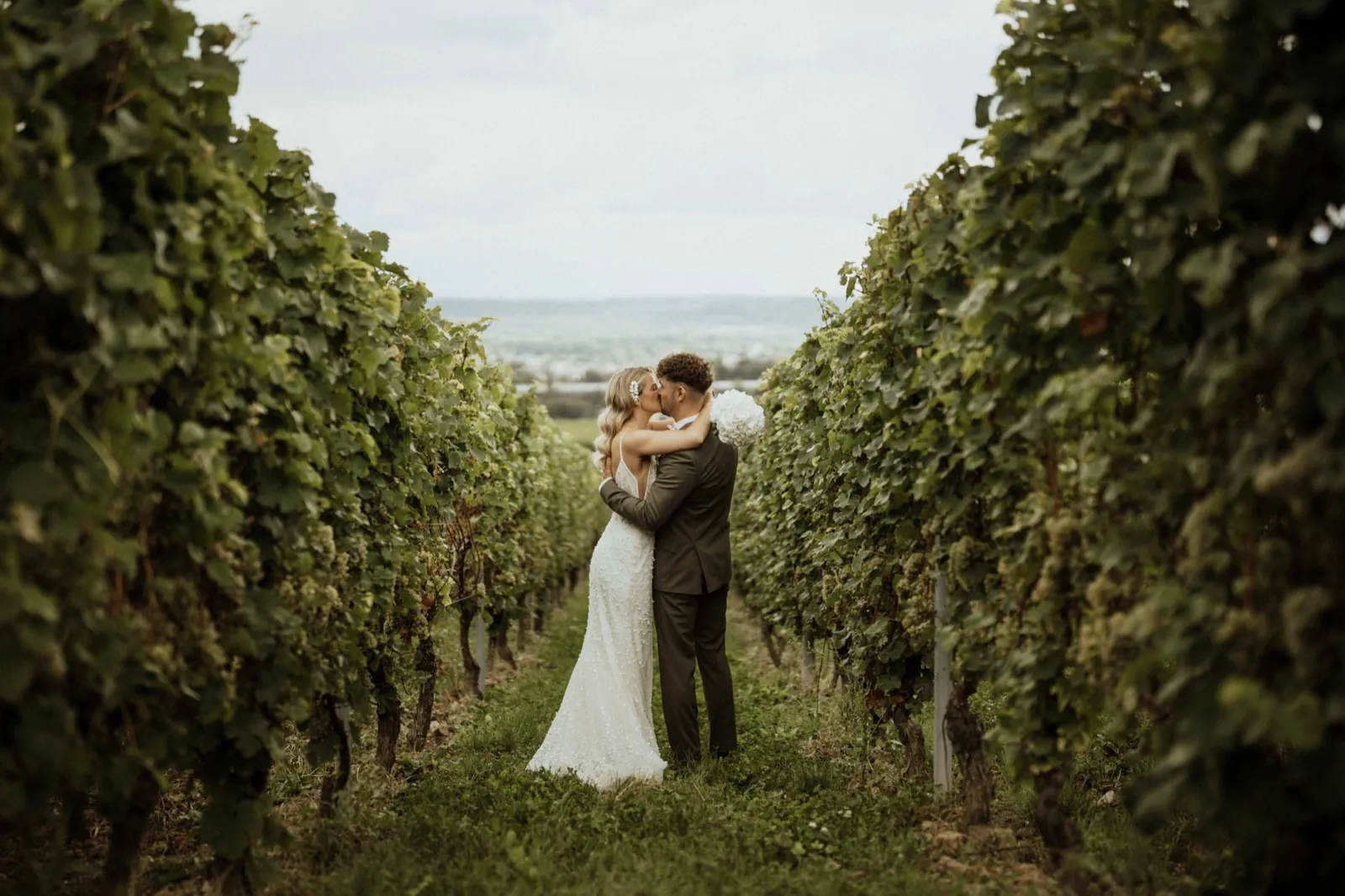 Luisa & Norman – Ein Brautpaar küsst sich in einem Weinberg zwischen zwei Reihen von Rebstöcken