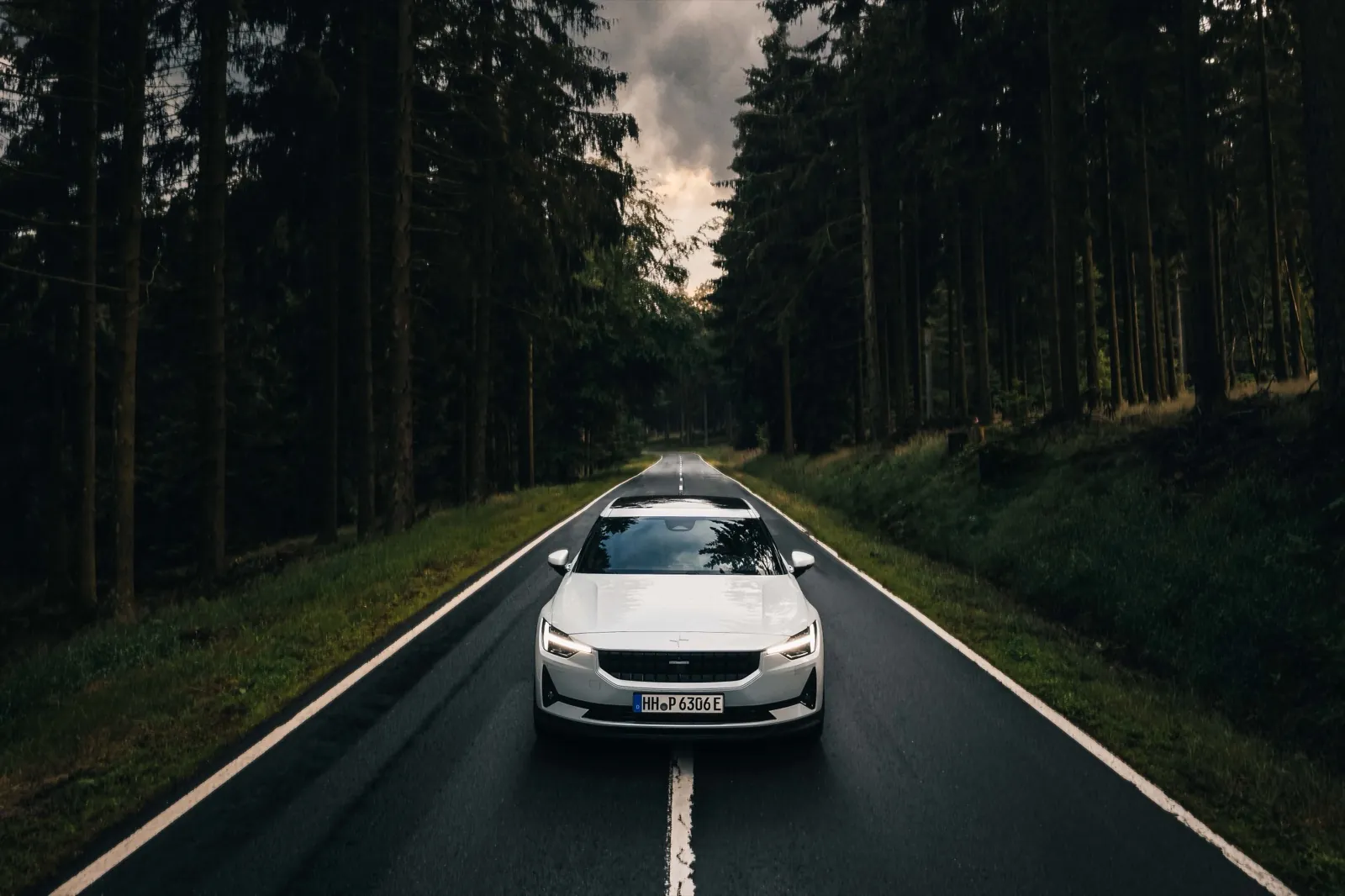 Polestar – Ein weißes Auto steht auf einer nassen Straße inmitten eines dichten Waldes